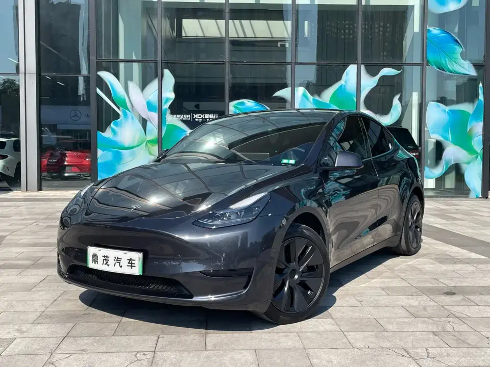 Tesla Model Y Rear-Wheel Drive Version 2024