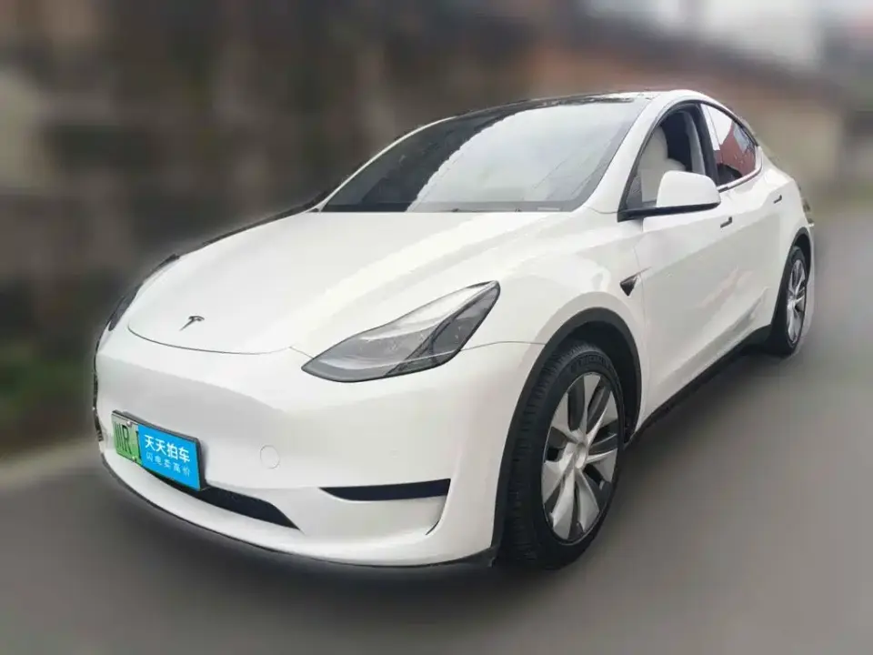 Tesla Model Y Rear-Wheel Drive Version 2022
