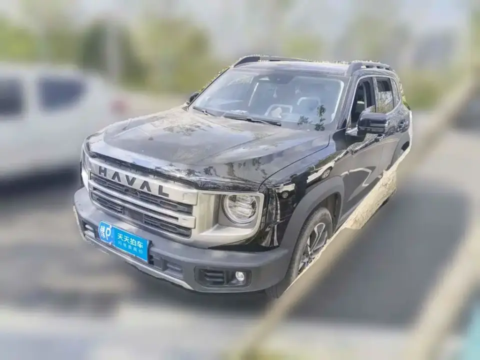 Haval Big Dog 1.5T DCT Border Collie Edition 2024