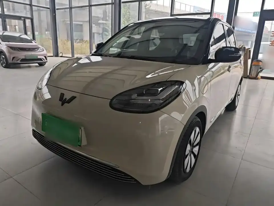 Wuling Motors Wuling Bingo 410km Lingxi Premium Edition 2024
