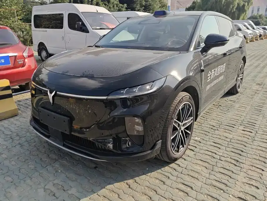 Voyah Auto Voyah Zhiyin Base 2025