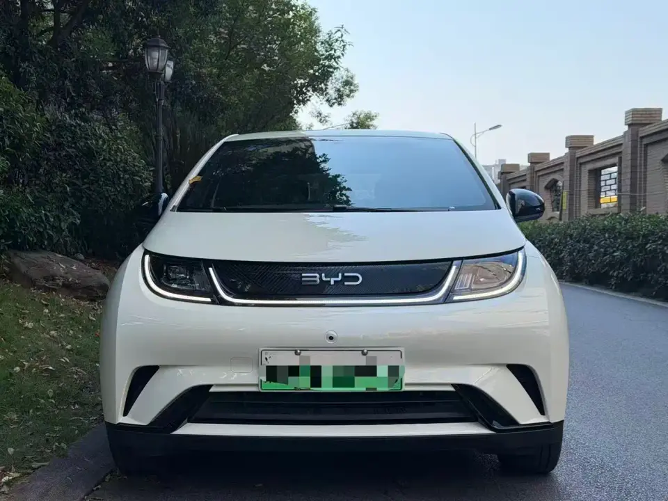 BYD Dolphin 420km Freedom Edition 2024
