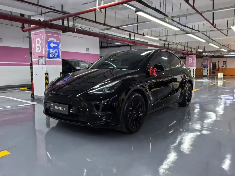 Tesla Model Y Standard Range Rear-Wheel Drive 2021