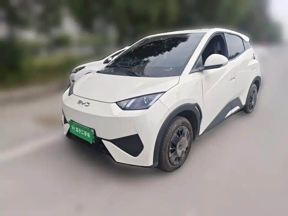 BYD Seagull Smart Drive Edition 305km Vitality Version 2025