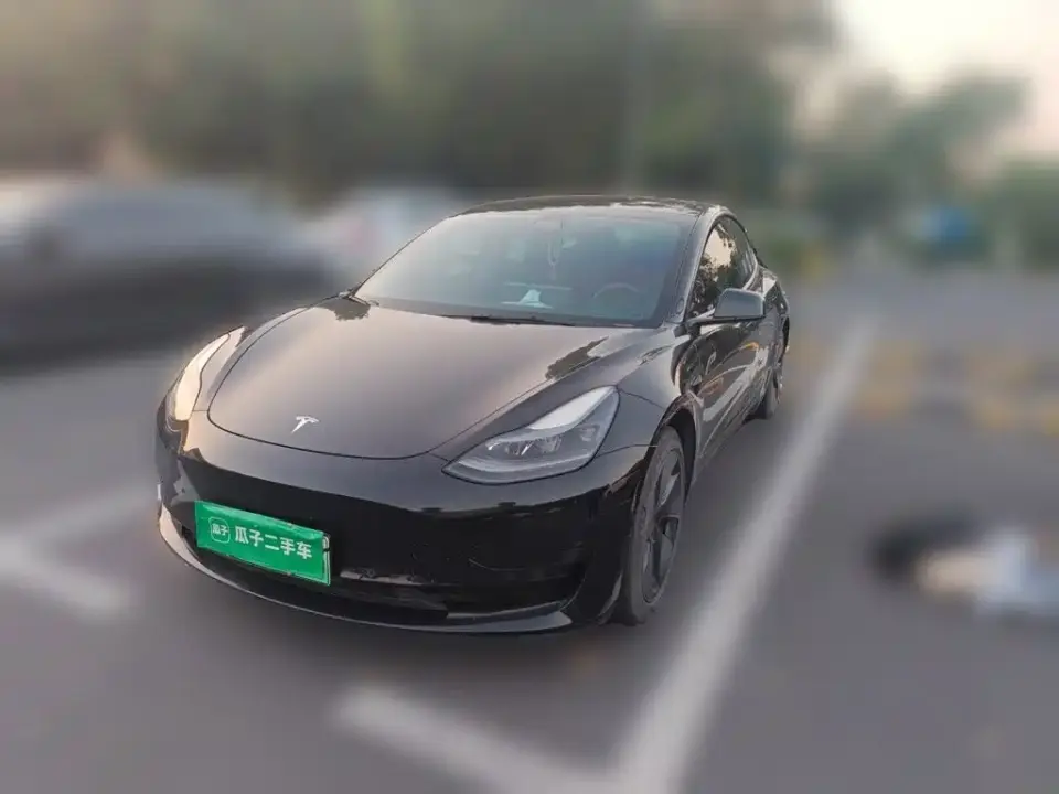 Tesla Model 3 Facelift Standard Range RWD Upgrade 3D1 2021