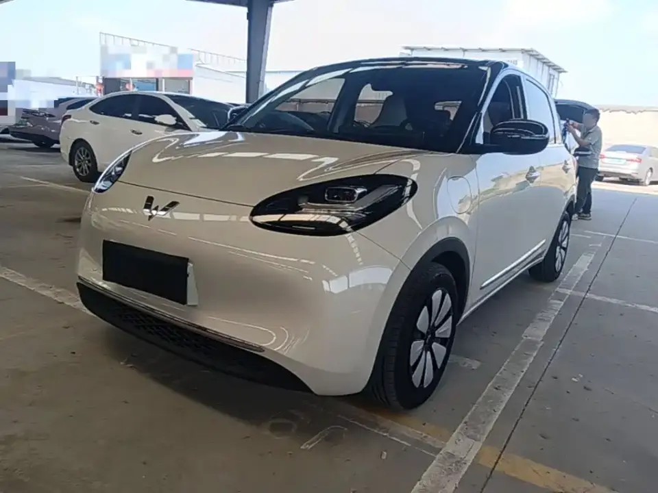 Wuling Motors Wuling Bingo 333km Comfort Edition 2025