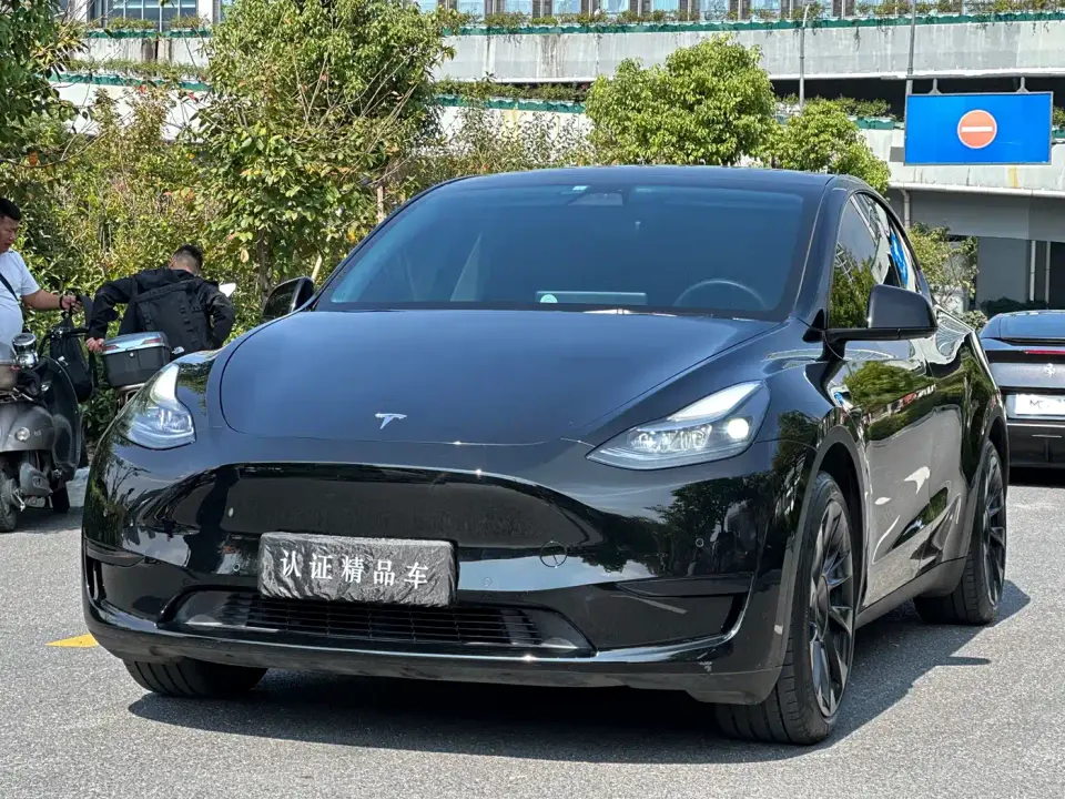 Tesla Model Y Rear-Wheel Drive Version 2022