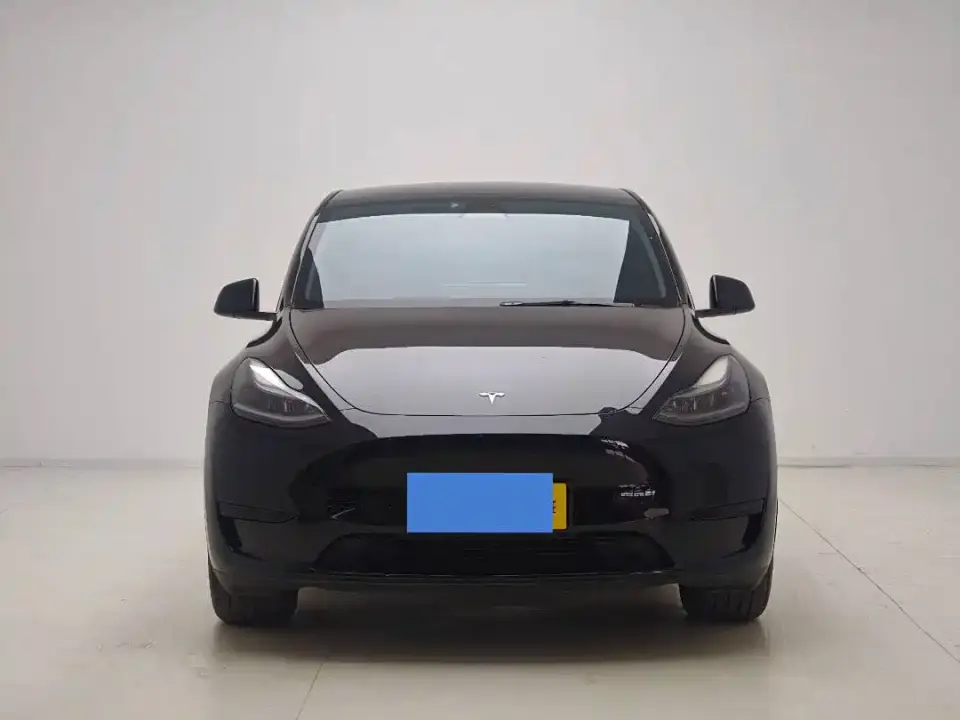 Tesla Model Y Rear-Wheel Drive Version 2024