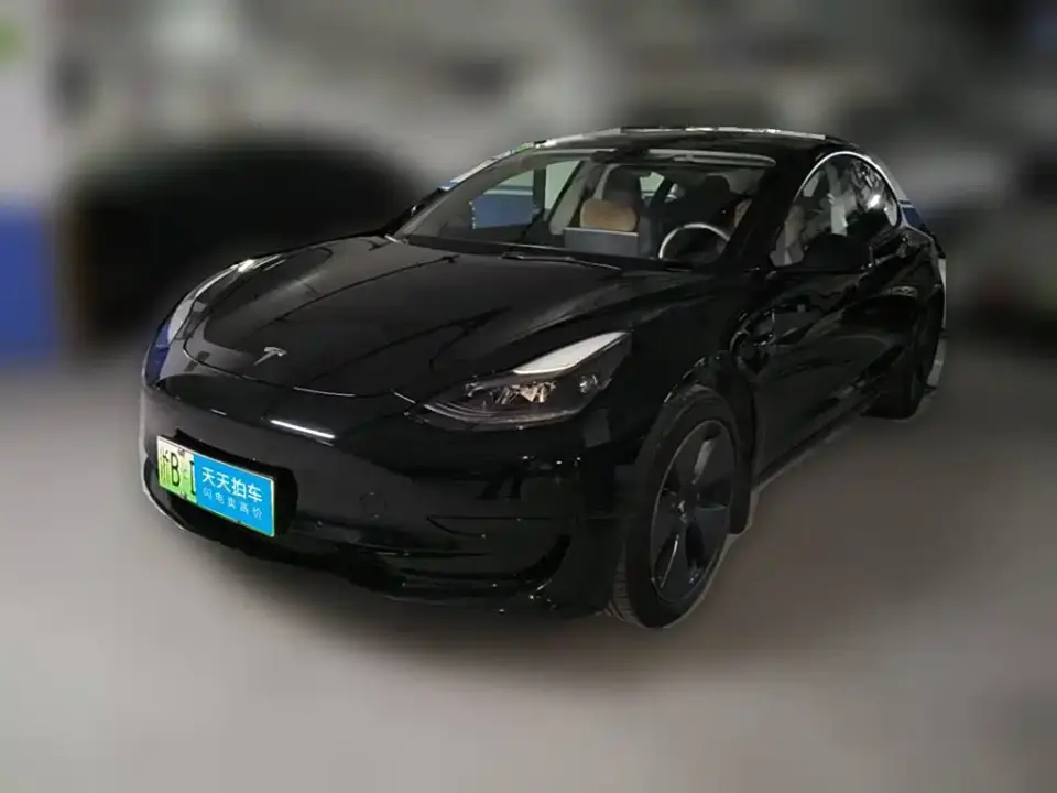 Tesla Model 3 Facelift Standard Range RWD Upgrade 3D1 2021