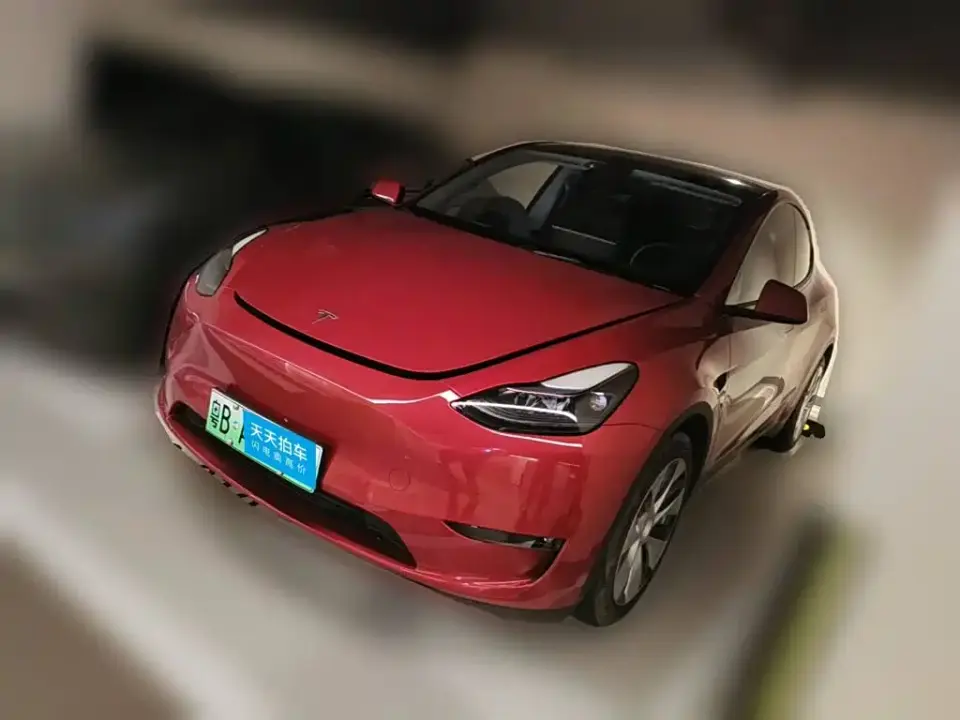 Tesla Model Y Standard Range Rear-Wheel Drive 2021