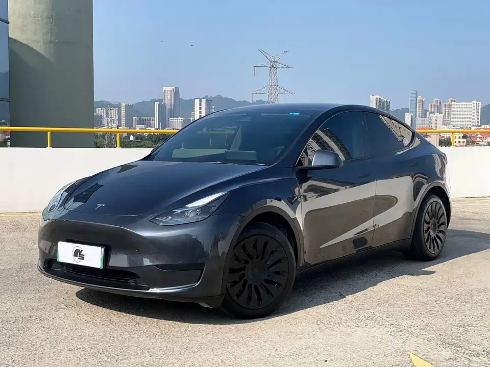 Tesla Model Y Rear-Wheel Drive Version 2024
