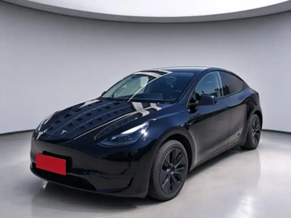 Tesla Model Y Rear-Wheel Drive Version 2024