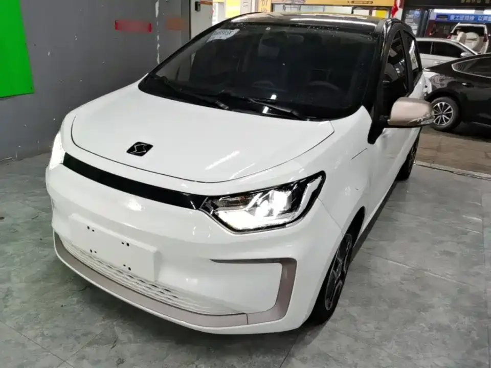 Sehol Flower Fairy 302km Fashion Edition 31.4kWh 2022
