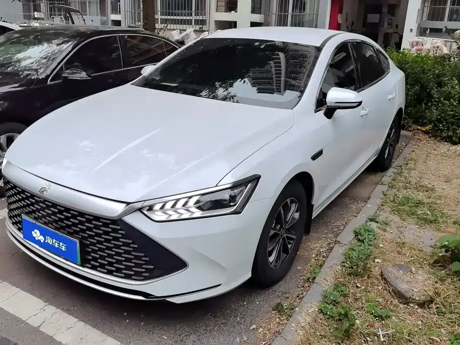 BYD Qin PLUS Glory Edition DM-i 55KM Leading 2024