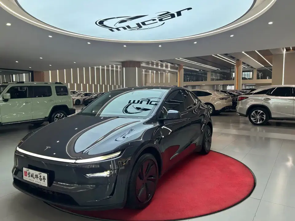 Tesla Model Y Rear-Wheel Drive 2025