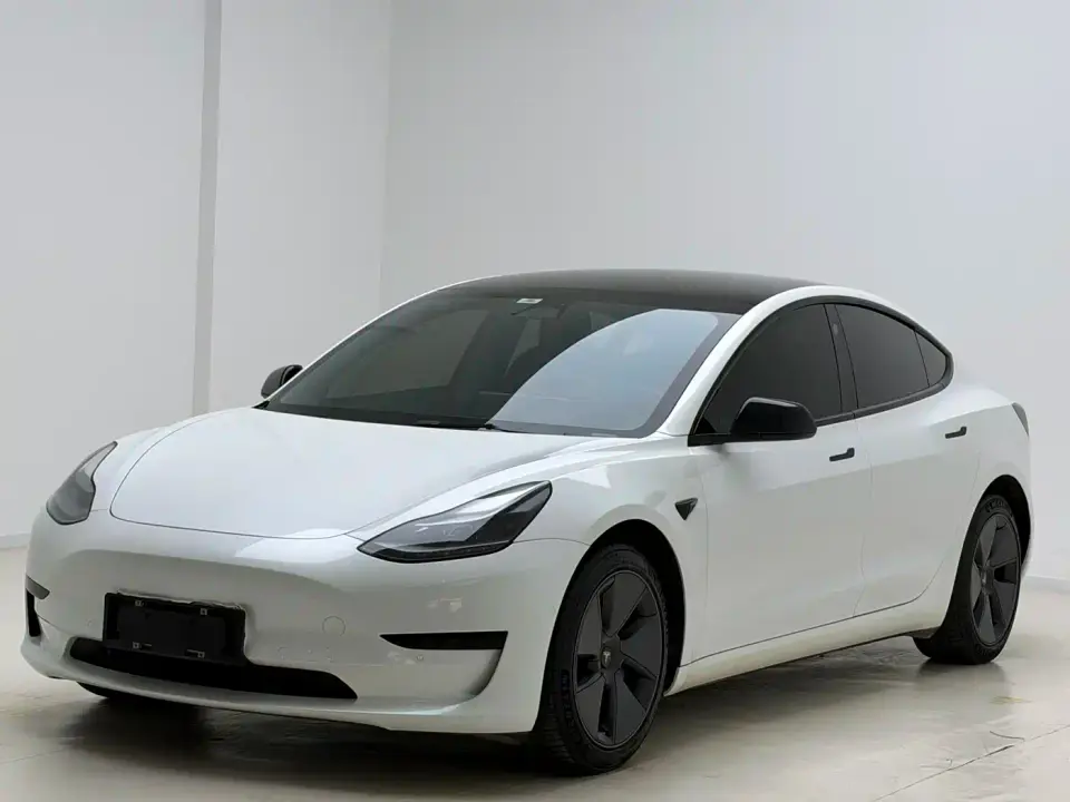 Tesla Model 3 Model Rear-Wheel Drive Version 2022