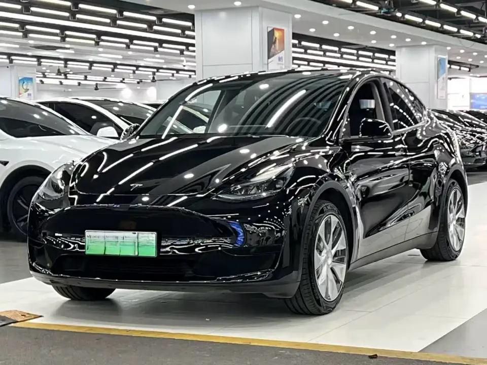 Tesla Model Y Rear-Wheel Drive Version 2023
