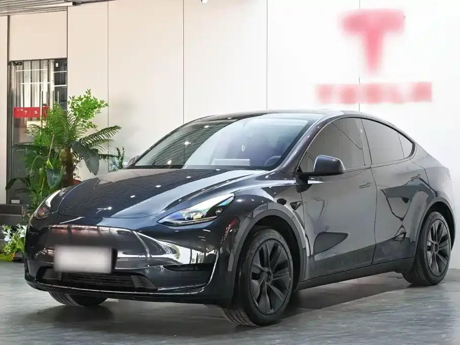 Tesla Model Y Rear-Wheel Drive Version 2024