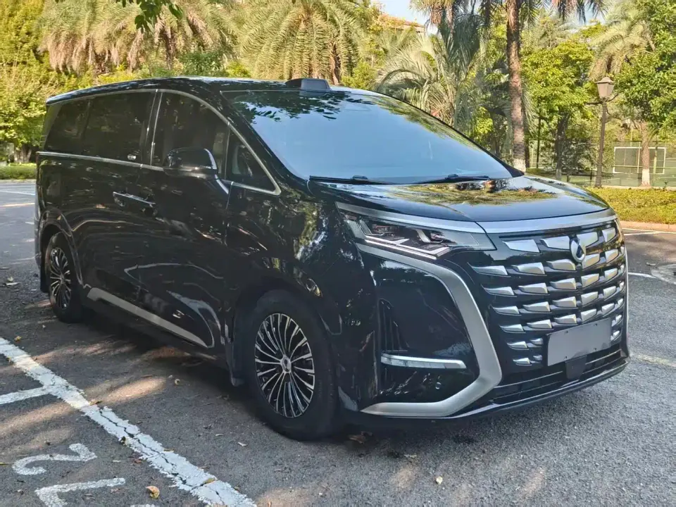Denza D9 DM-i 1050 Premium 2025