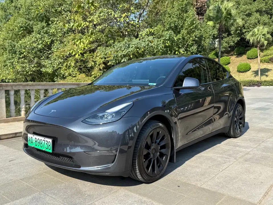 Tesla Model Y Long Range AWD 2024