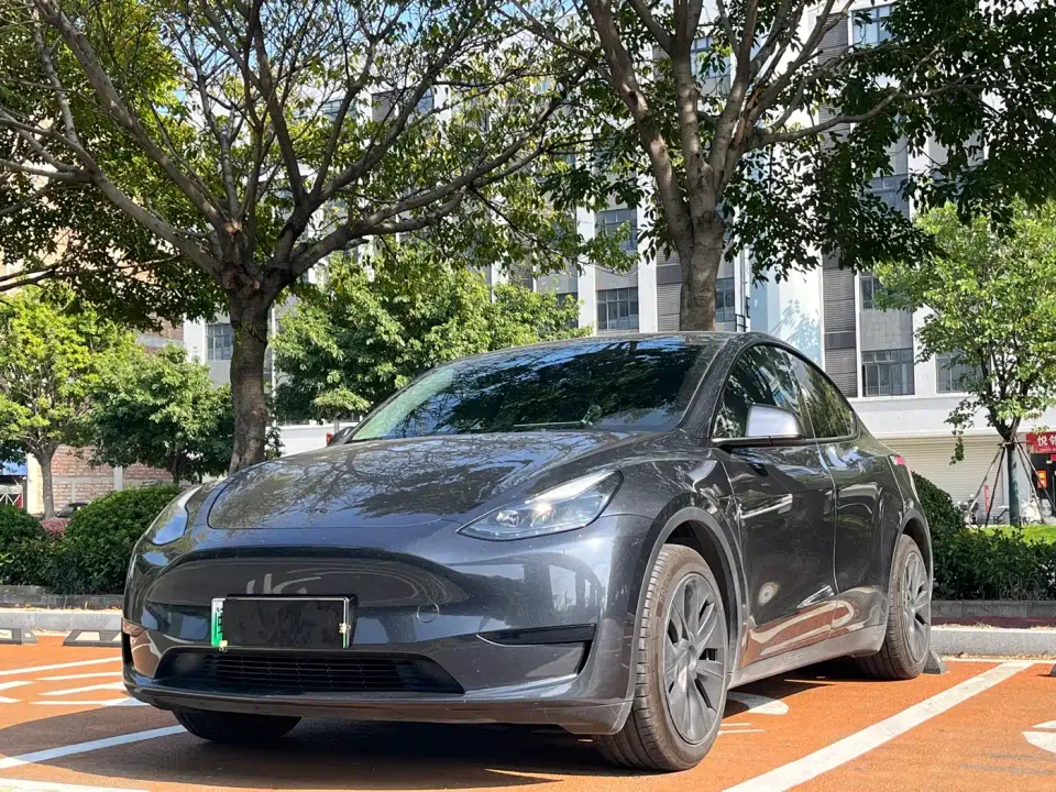 Tesla Model Y Rear-Wheel Drive Version 2024