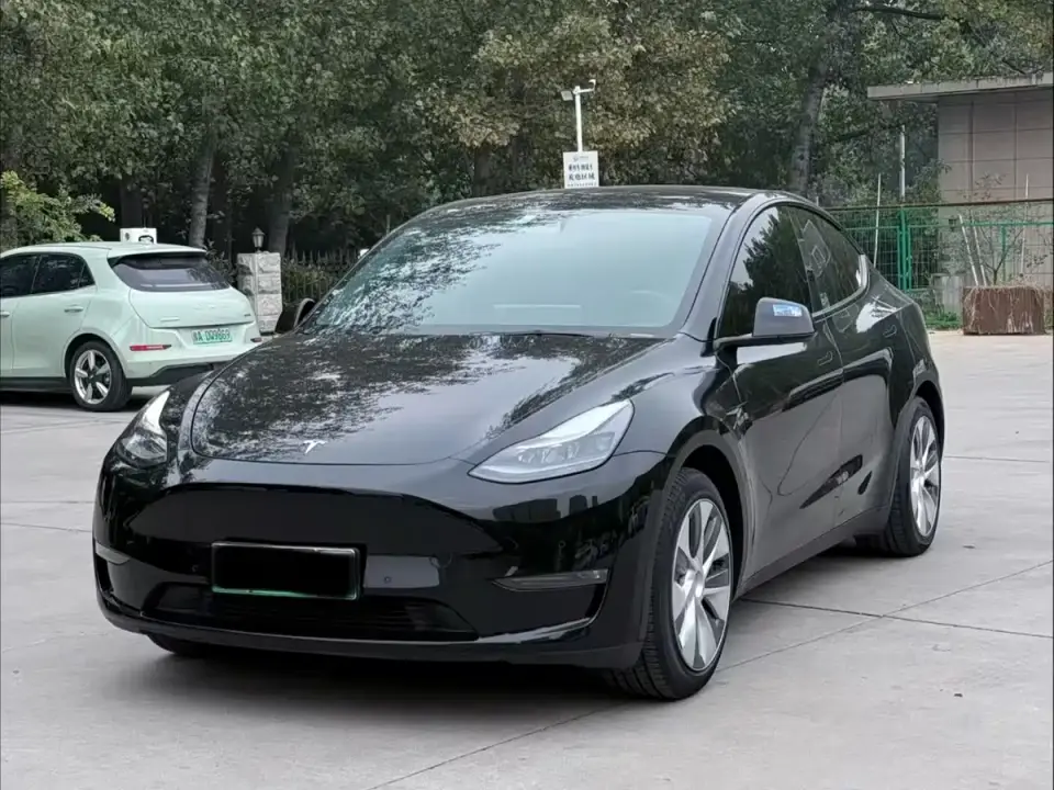 Tesla Model Y Standard Range Rear-Wheel Drive 2021