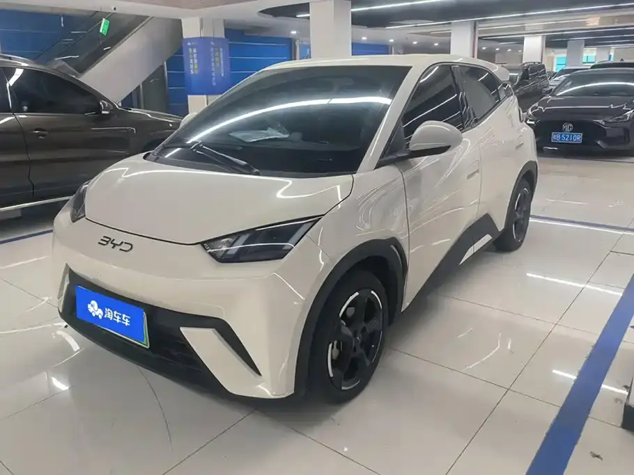 BYD Seagull Glory Edition 405km Soaring Edition 2024