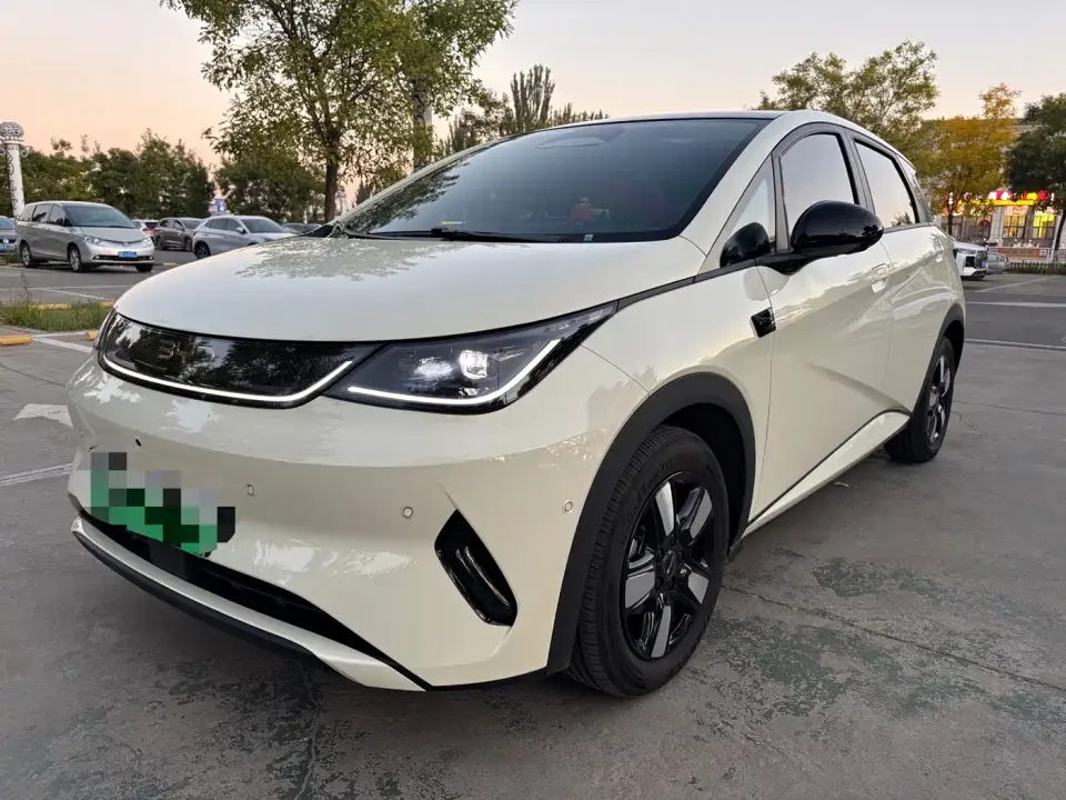 BYD Dolphin Smart Drive Edition 410km Fashion Version 2025