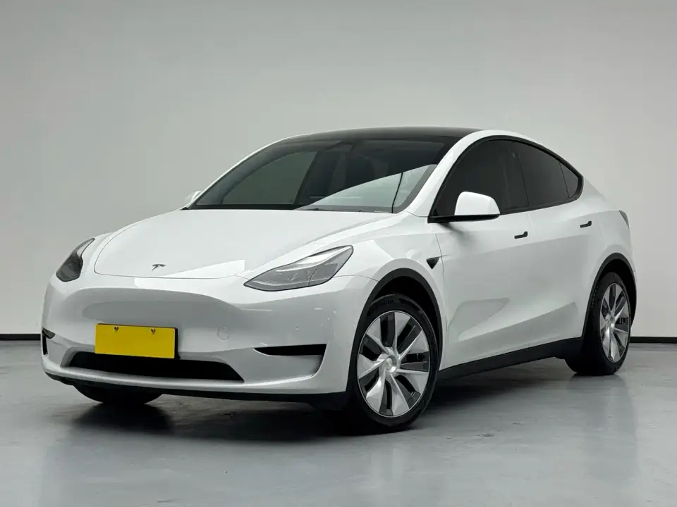Tesla Model Y Rear-Wheel Drive Version 2022