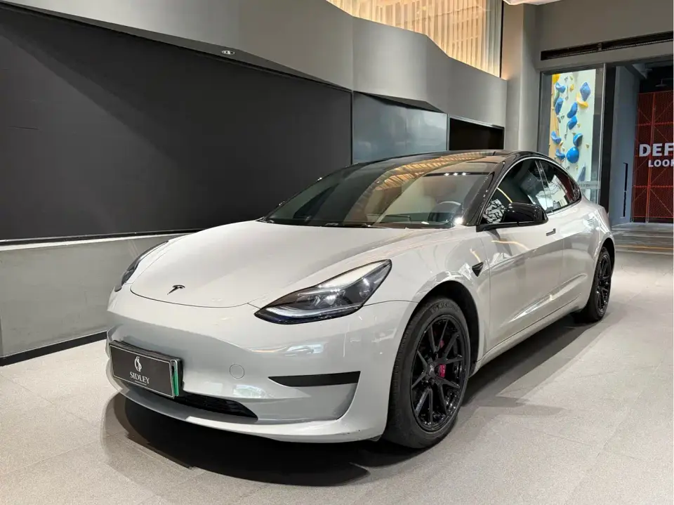 Tesla Model 3 Model Rear-Wheel Drive Version 2023