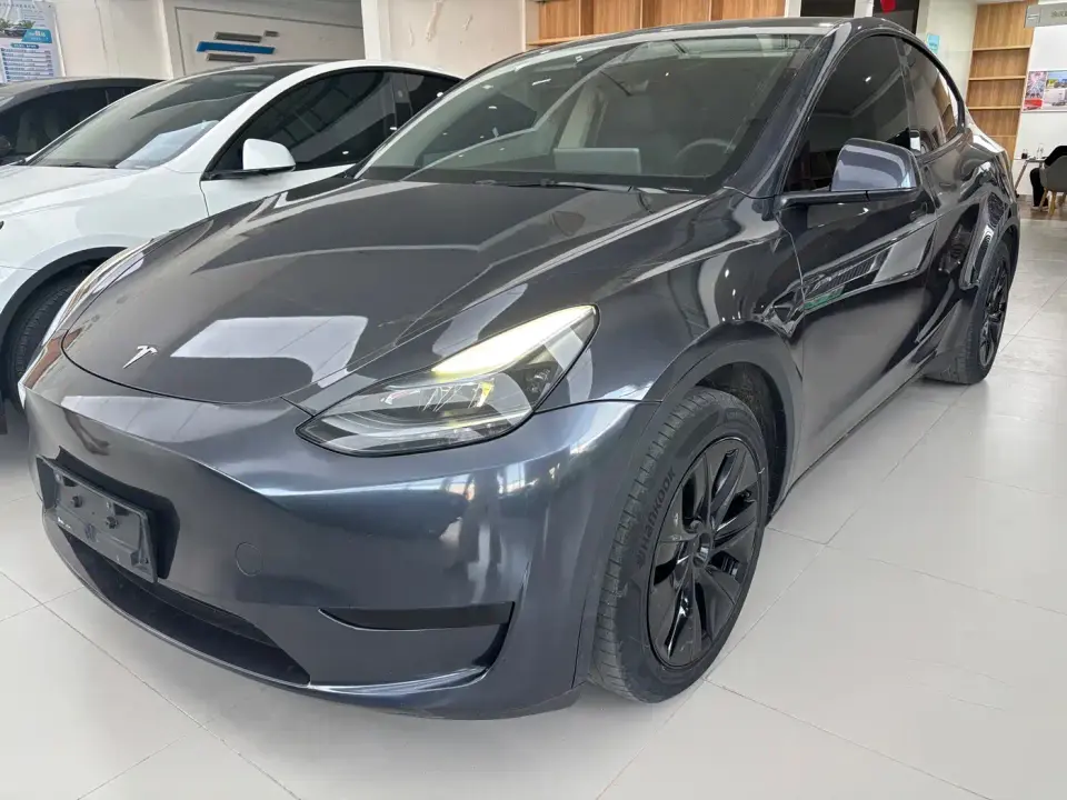 Tesla Model Y Long Range AWD 2024
