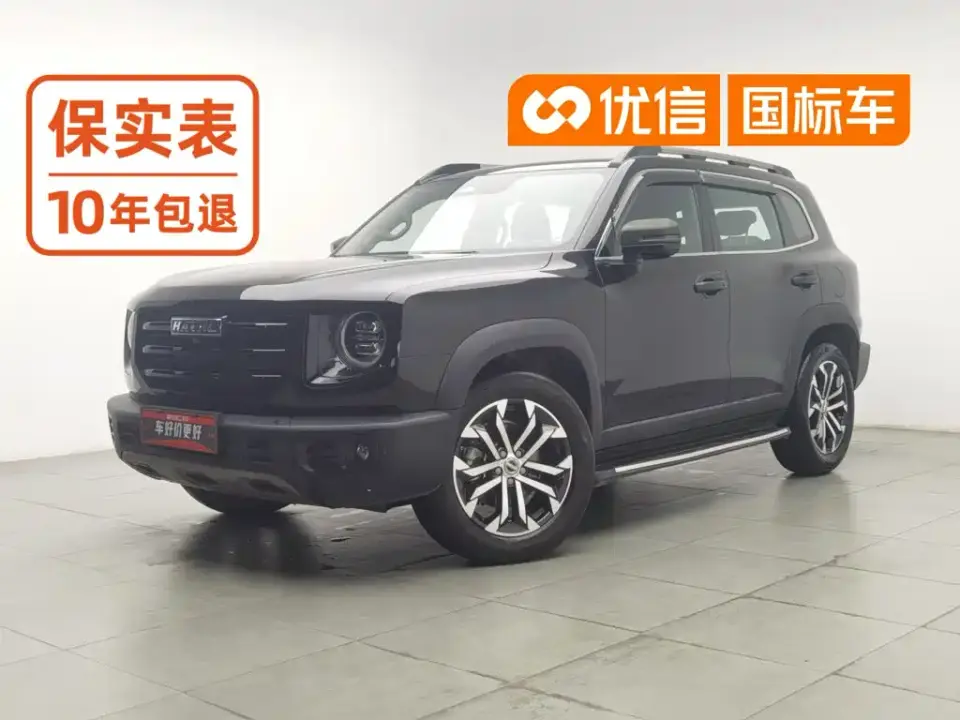 Haval Big Dog 1.5T DCT 2WD Border Collie - Wangcai Edition 2021