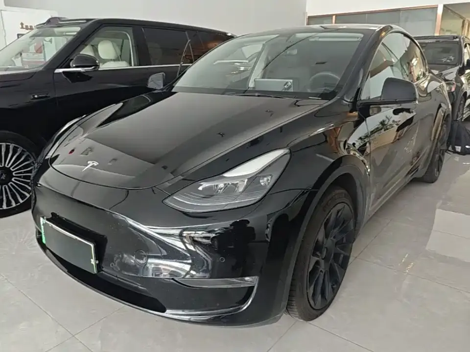 Tesla Model Y Standard Range Rear-Wheel Drive 2021