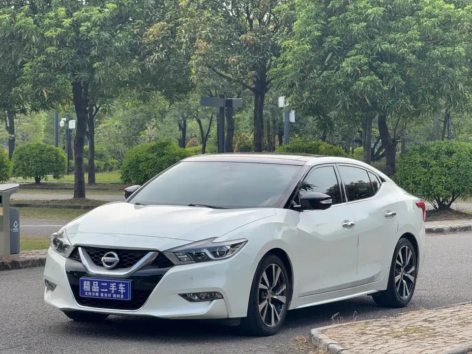 Nissan Cima 2.5L XL Luxury 2019