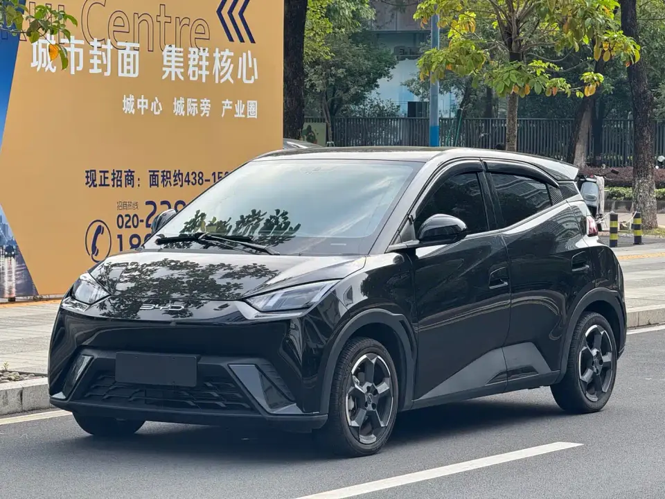 BYD Seagull Freedom Edition 2023