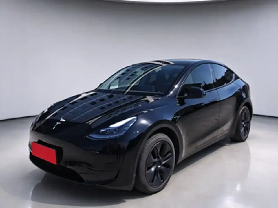 Tesla Model Y Rear-Wheel Drive Version 2024