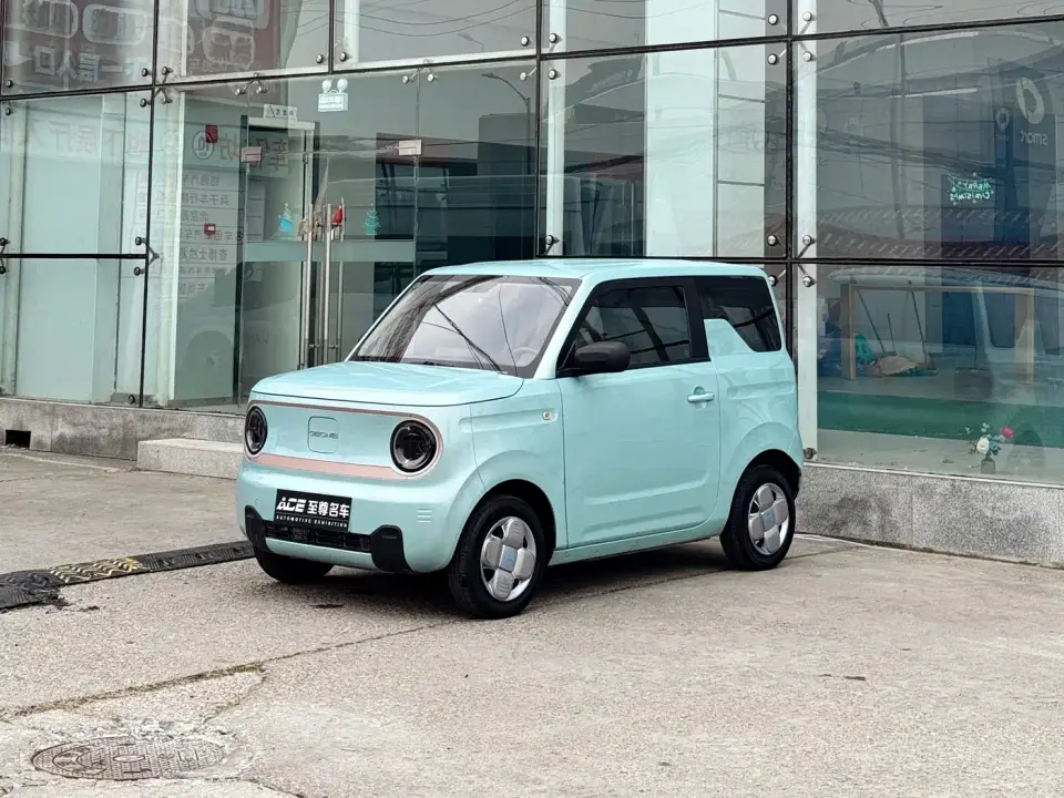 Geely Galaxy Panda Panda mini 200km Endurance Bear 2024