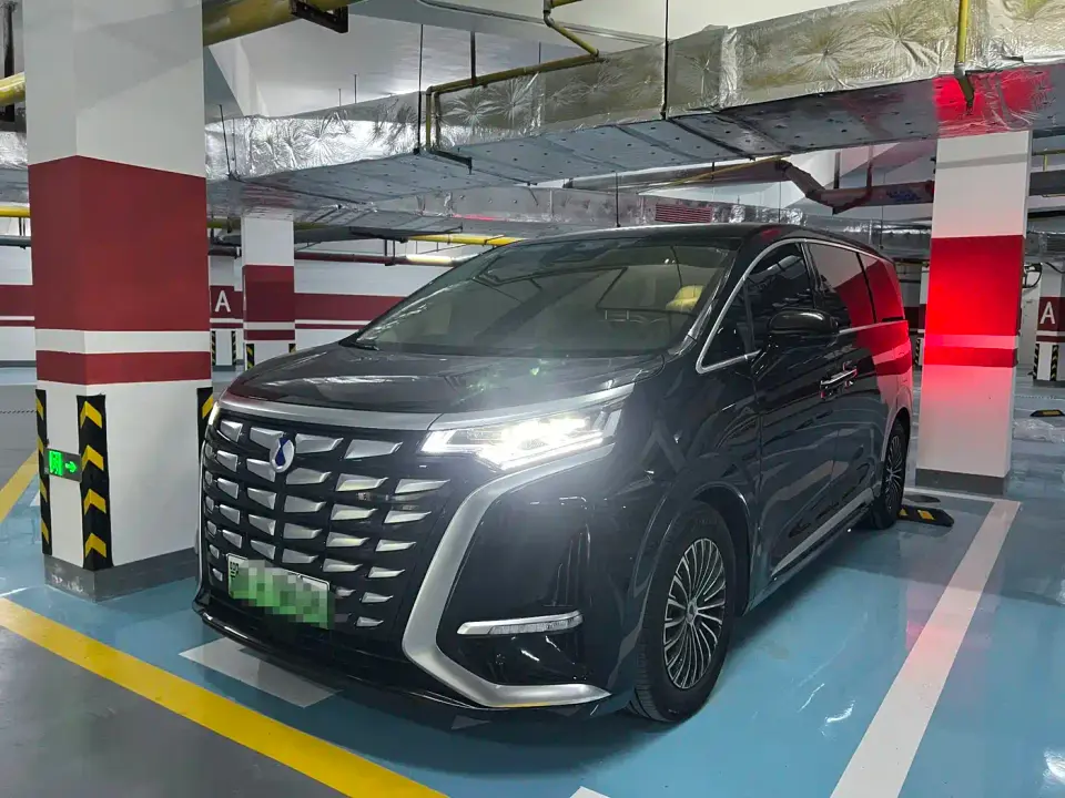 Denza D9 DM-i 980 AWD Premium 2025