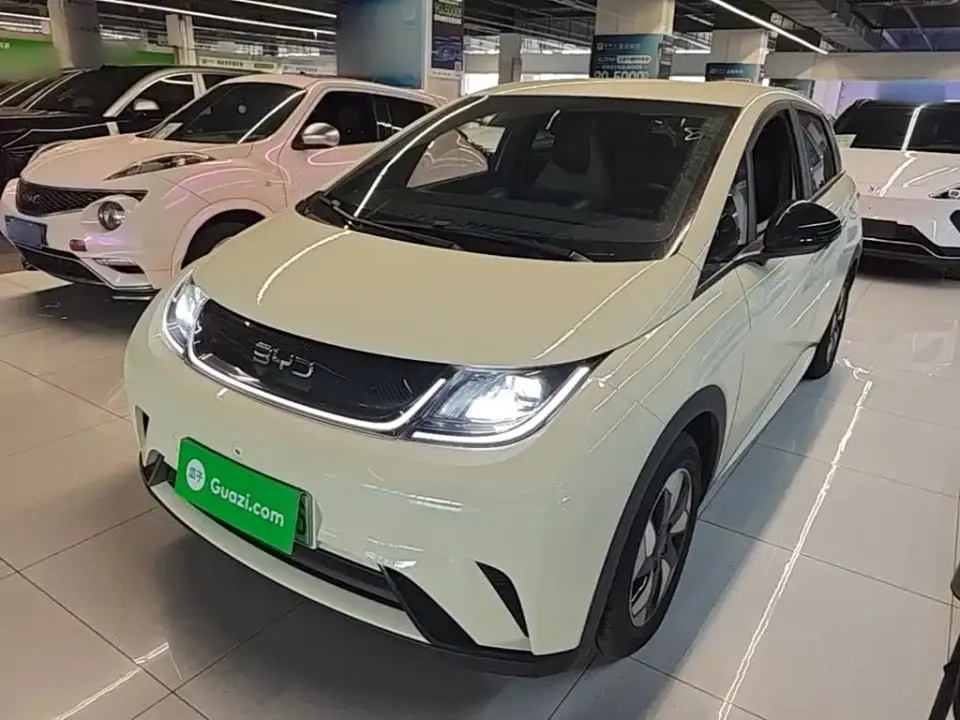 BYD Dolphin 420km Freedom Edition 2026