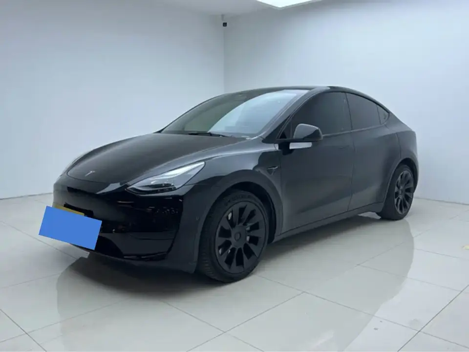 Tesla Model Y Rear-Wheel Drive Version 2022