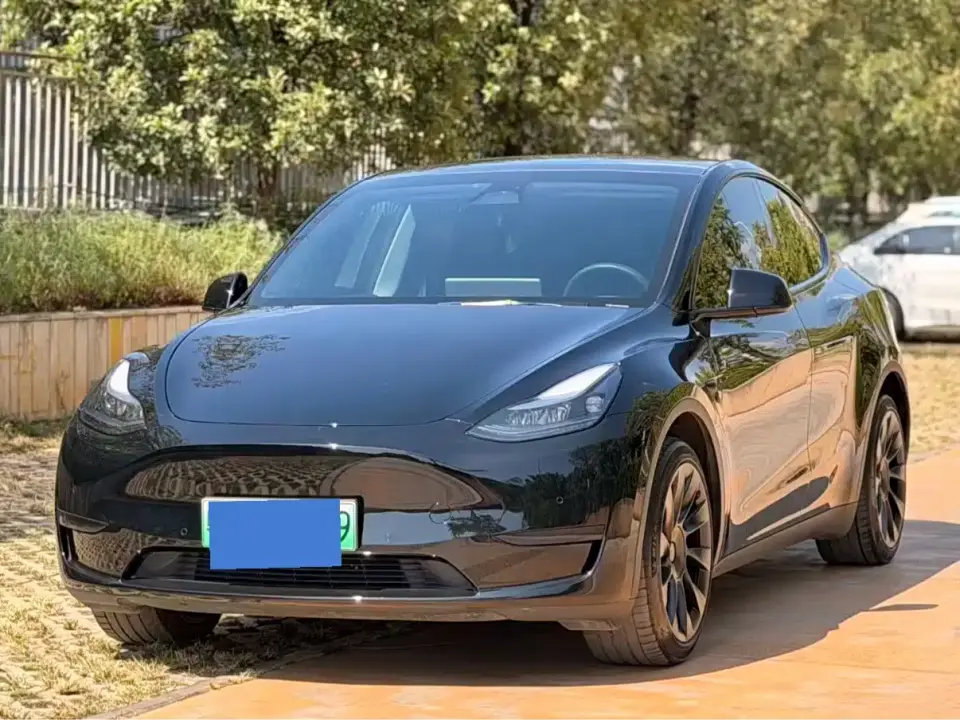 Tesla Model Y Rear-Wheel Drive Version 2024