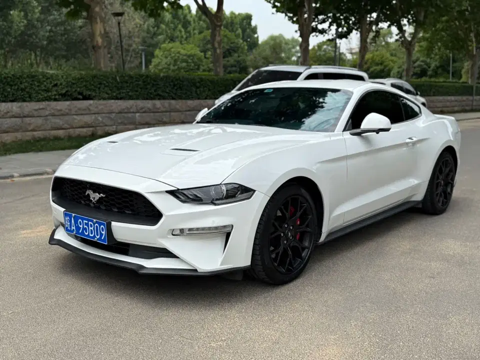 Ford Mustang Model 2.3L EcoBoost 2019