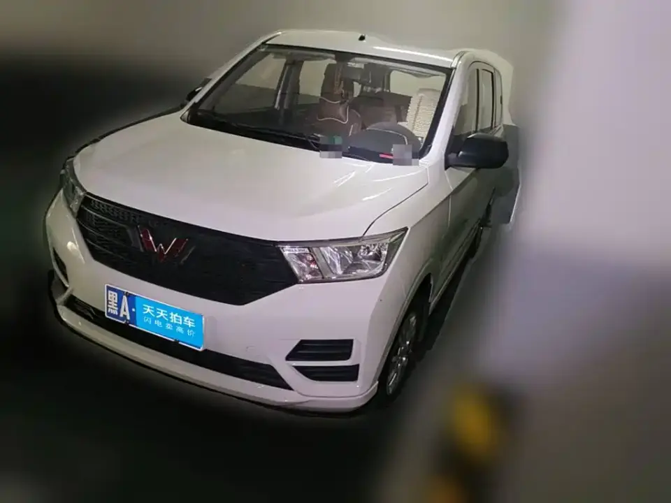 Wuling Motors Wuling Hongguang 1.5L S Basic LAR 2024
