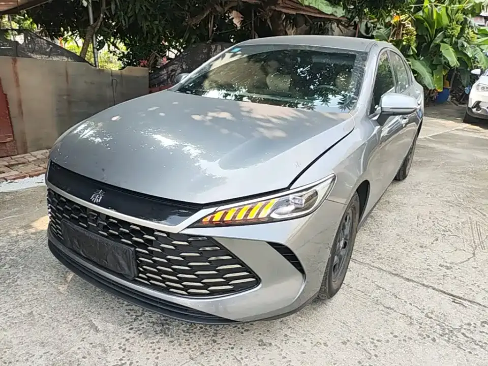 BYD Qin PLUS DM-i Smart Drive 55KM Leader 2025