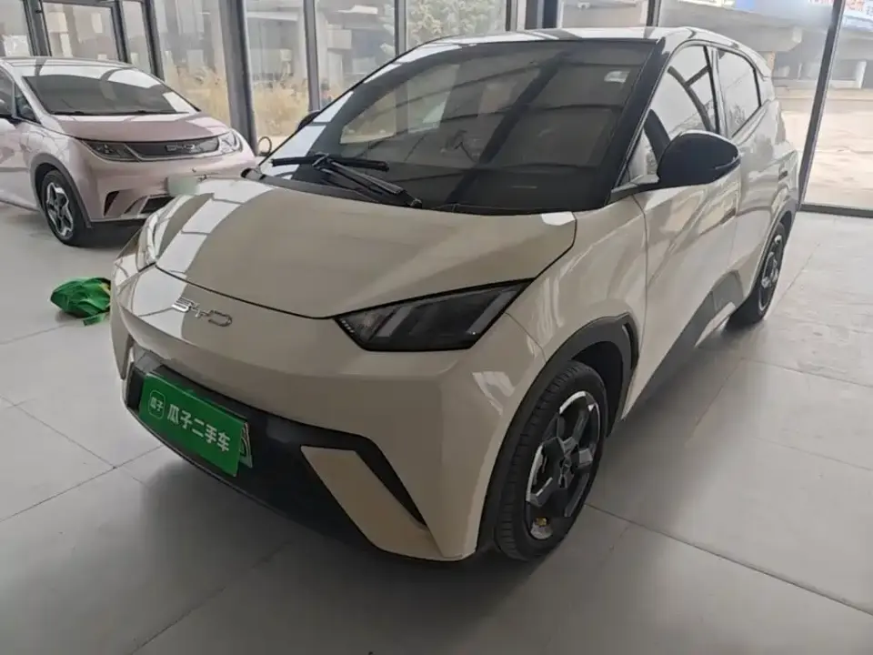 BYD Seagull Flying Edition 2024