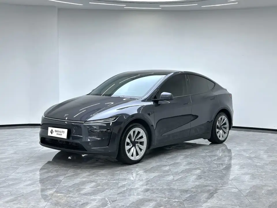 Tesla Model Y Model Long Range All-Wheel Drive Launch Edition 2025