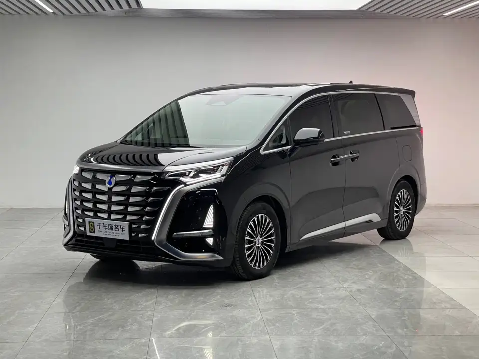 Denza D9 DM-i 1050 Premium 2024