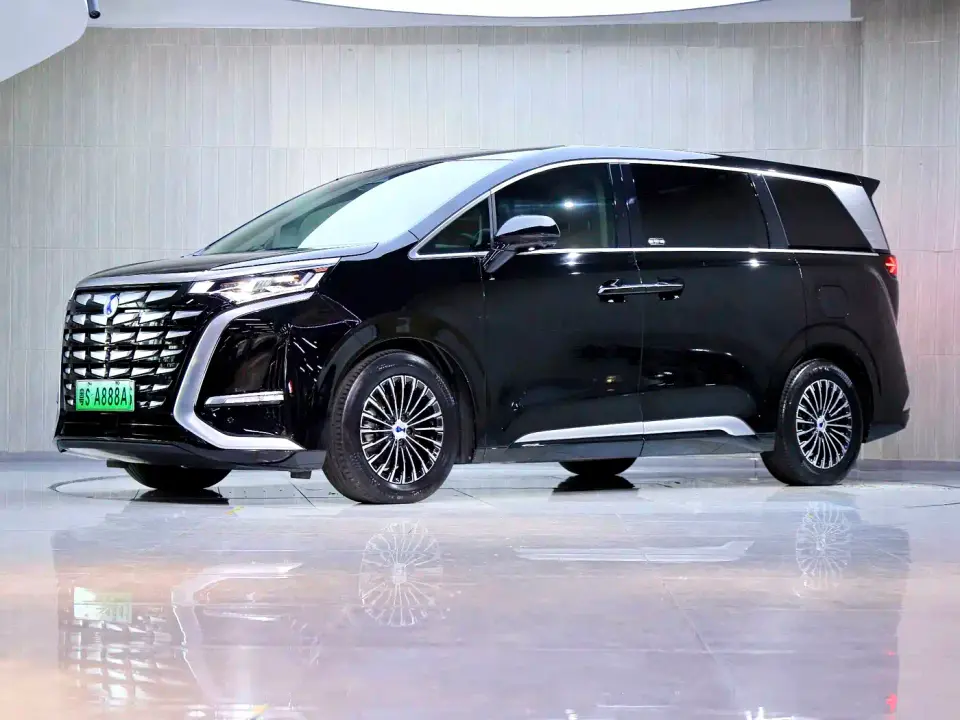 Denza D9 DM-i 970 Luxury 2024