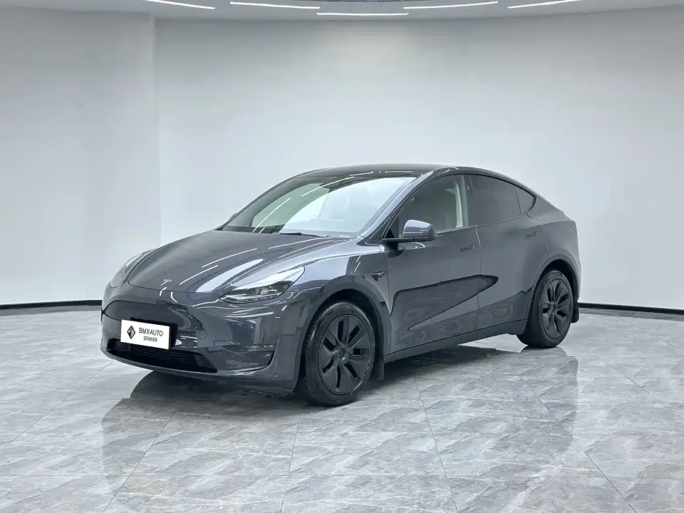 Tesla Model Y Long Range AWD 2025