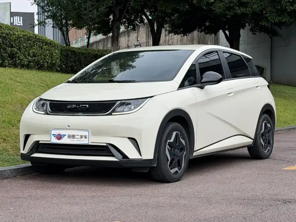 BYD Dolphin 405km Freedom Edition 2022